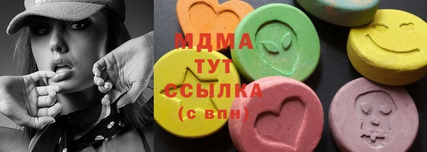 хмурый Аркадак