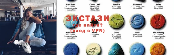 хмурый Аркадак