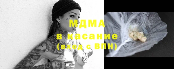 хмурый Аркадак