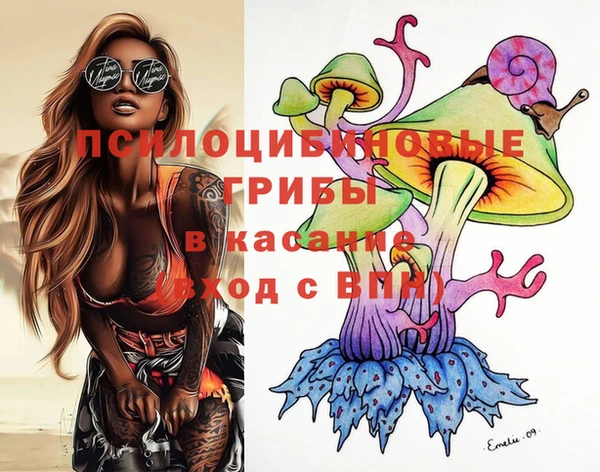 хмурый Аркадак