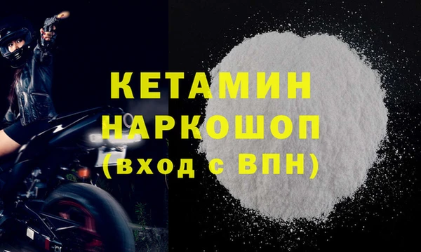 хмурый Аркадак