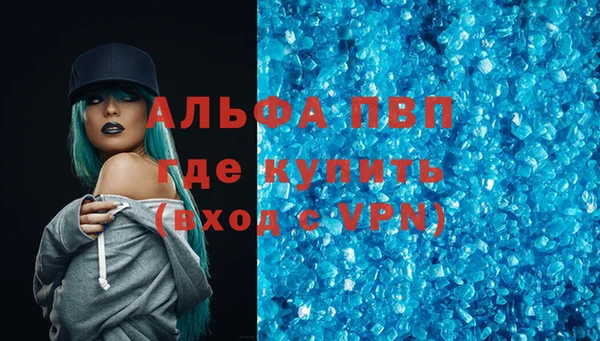хмурый Аркадак