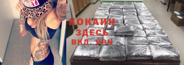 хмурый Аркадак