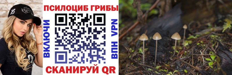 Галлюциногенные грибы прущие грибы  мега вход  Гай 